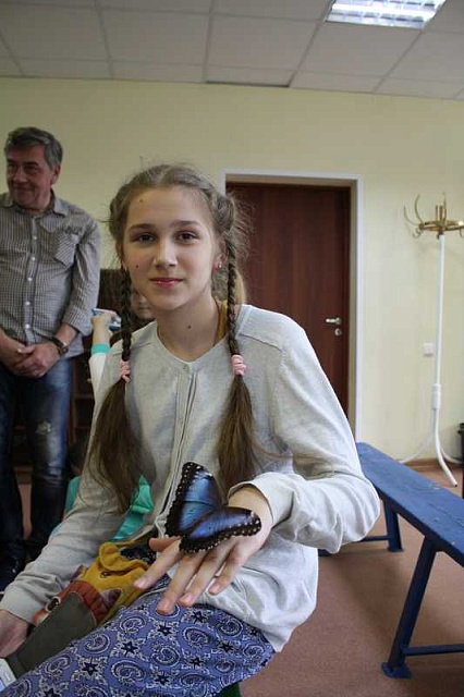 11 июля