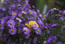 День Учителя