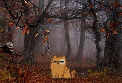 Отмена ноябрьского заезда