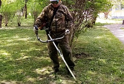 Порядок на территории