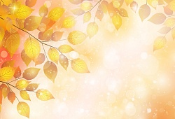 В ожидании заезда