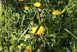 Соответствуем всем стандартам!