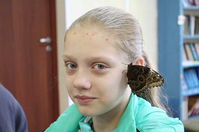 11 июля