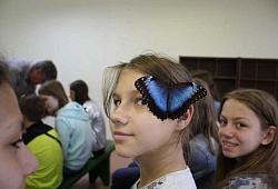 Эффект бабочек